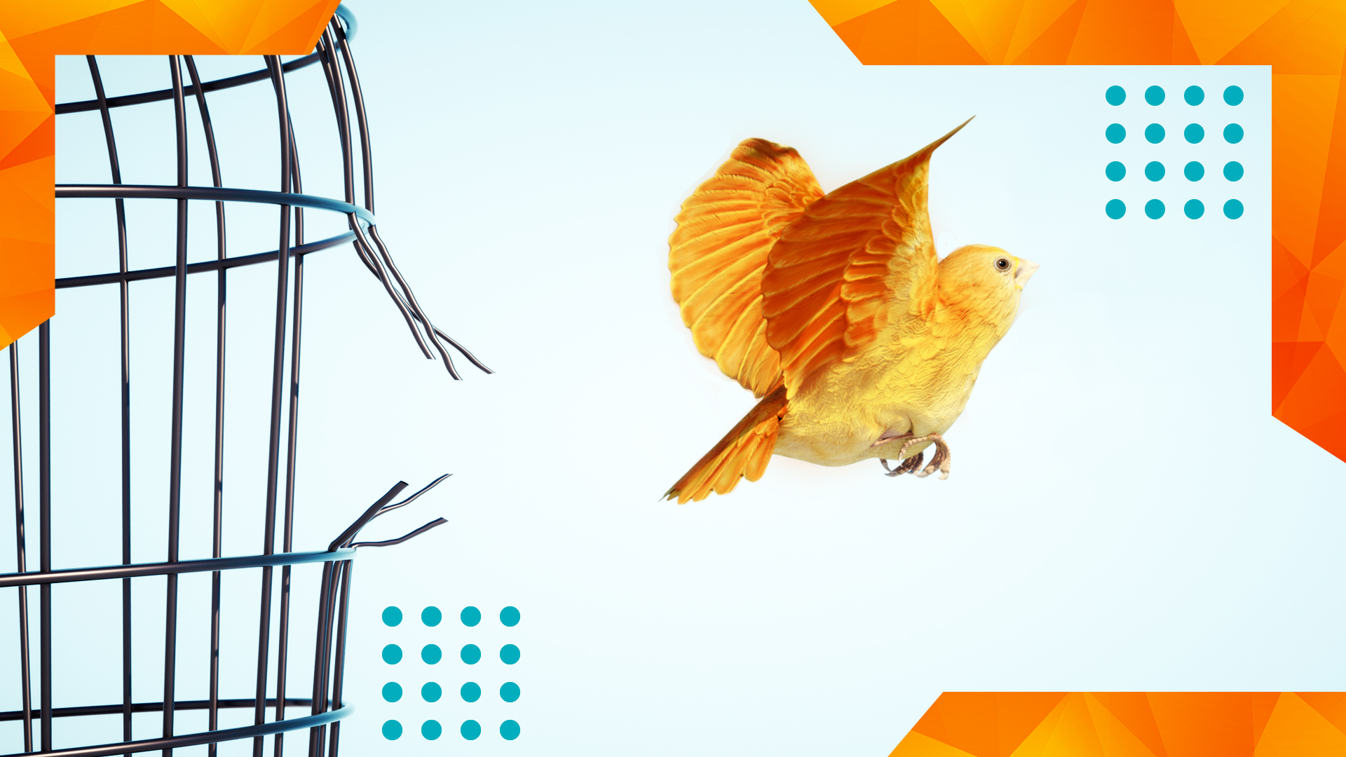 Webinar_FreedomFromDebt_700x320
