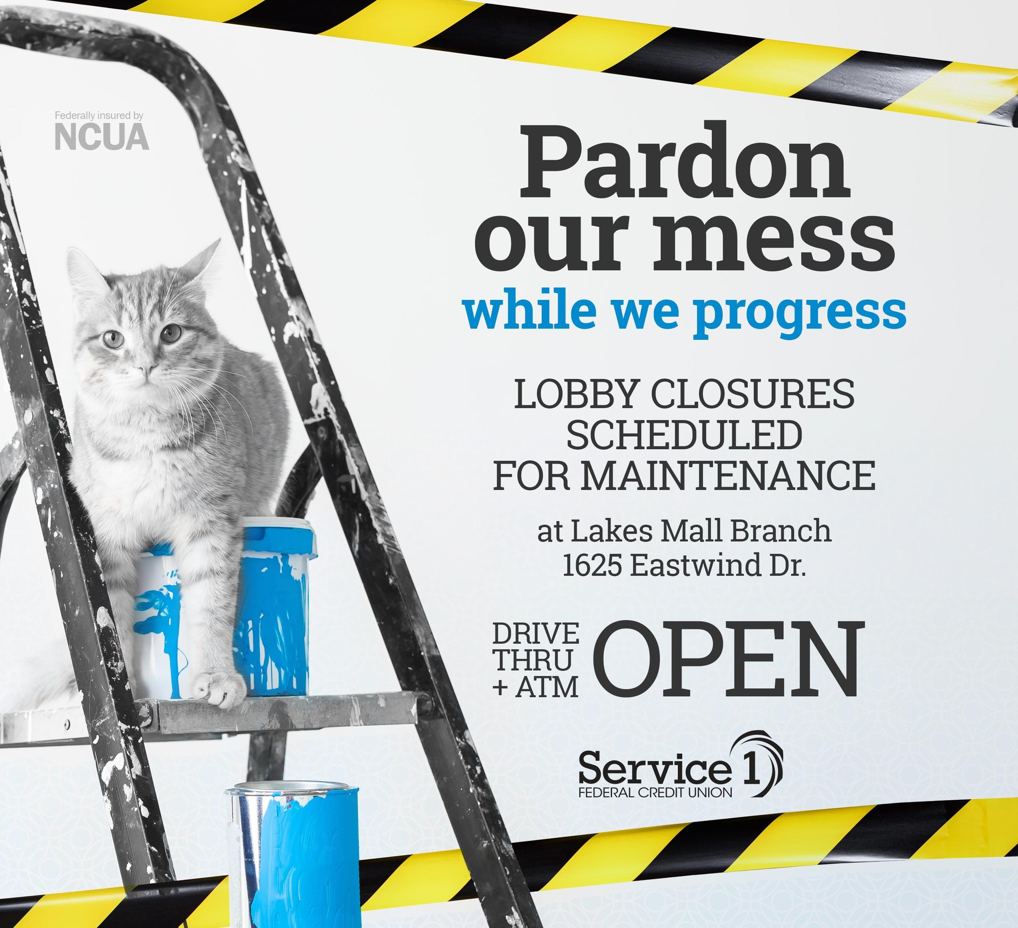cat on ladder with caution tape and headline "pardon our mess"