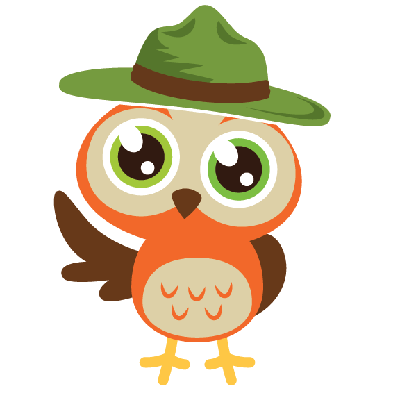 owl with ranger hat illustration for kids