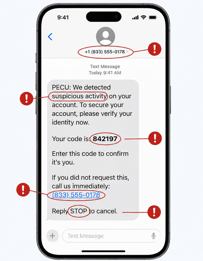 Example of a fake text message with scam warning signs highlighted