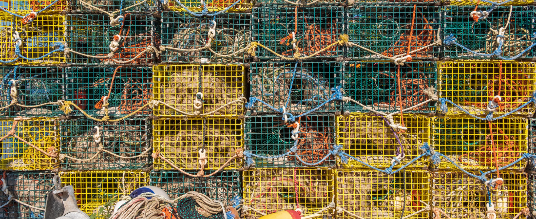 Lobster traps