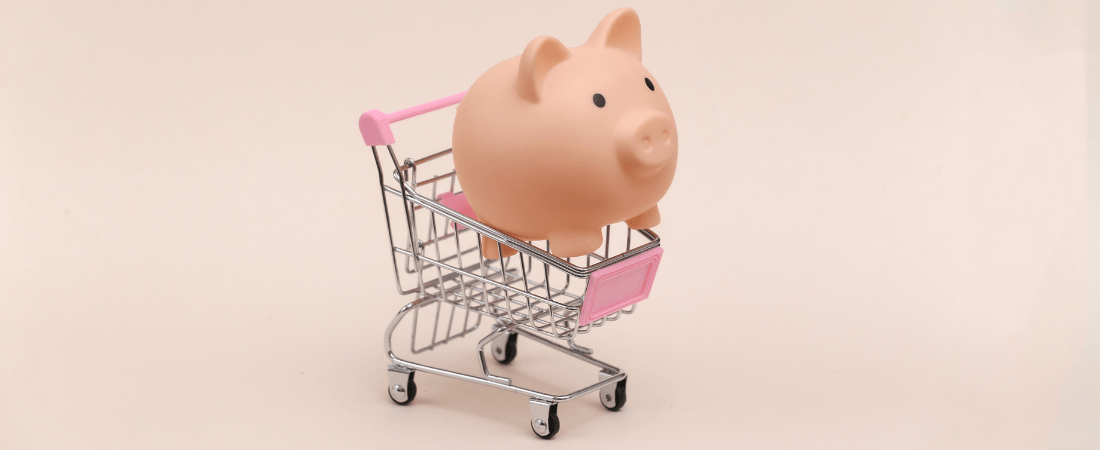 Pig in a shopping cart