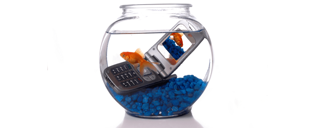 Cellphone in a fish bowl