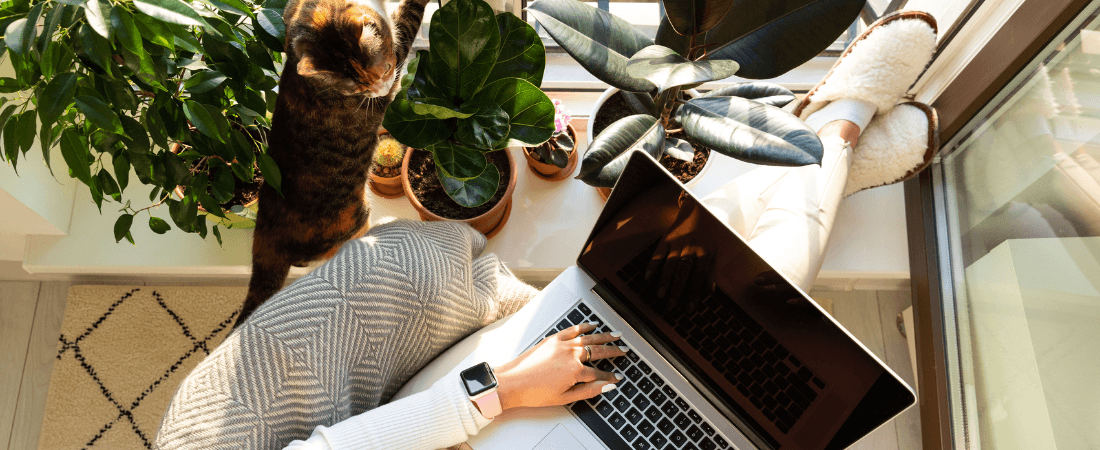 Woman on laptop. 