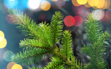 Christmas Club Account