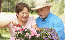 Individual Retirement Accounts (IRAs)