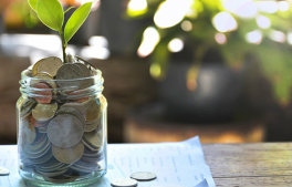 Statement Savings