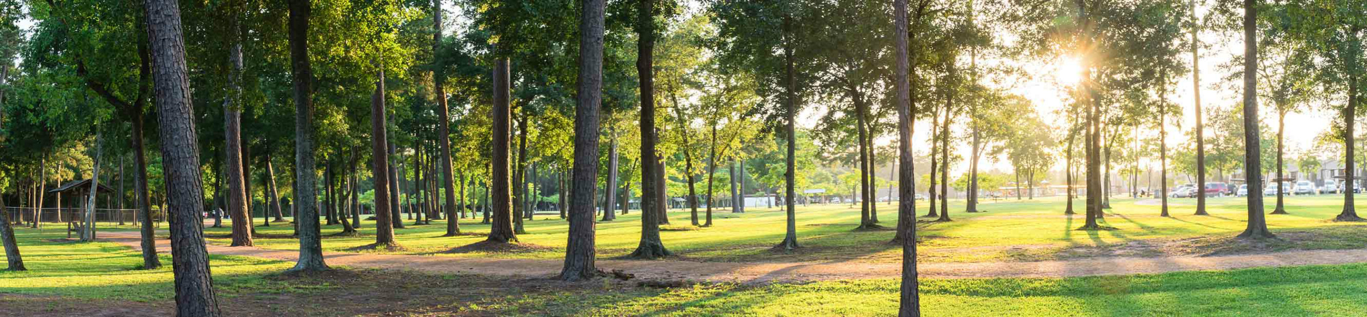 About Doches Credit Union Doches Credit Union Nacogdoches, Hemphill