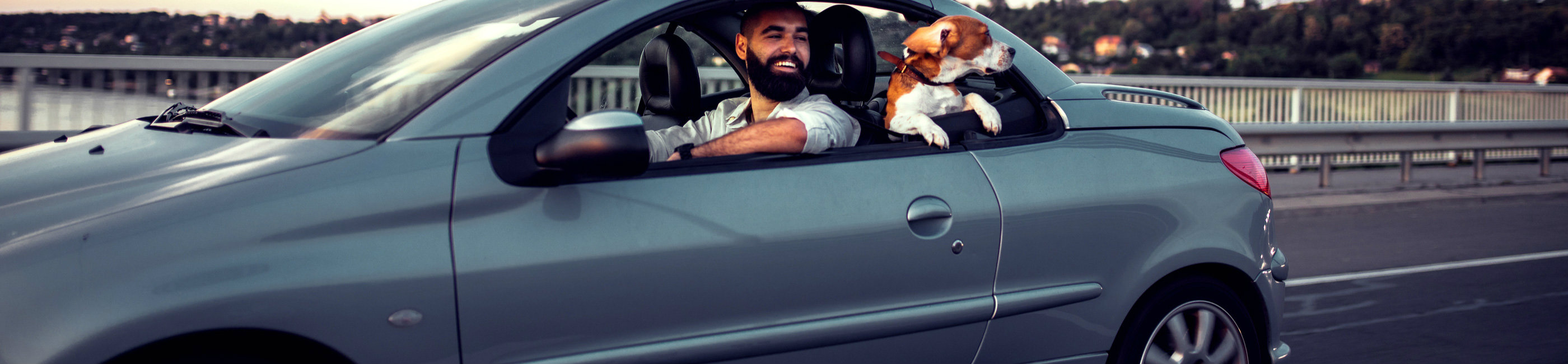 Auto Dealer Network in ParsippanyTroy Hills, Dover, South Orange, and