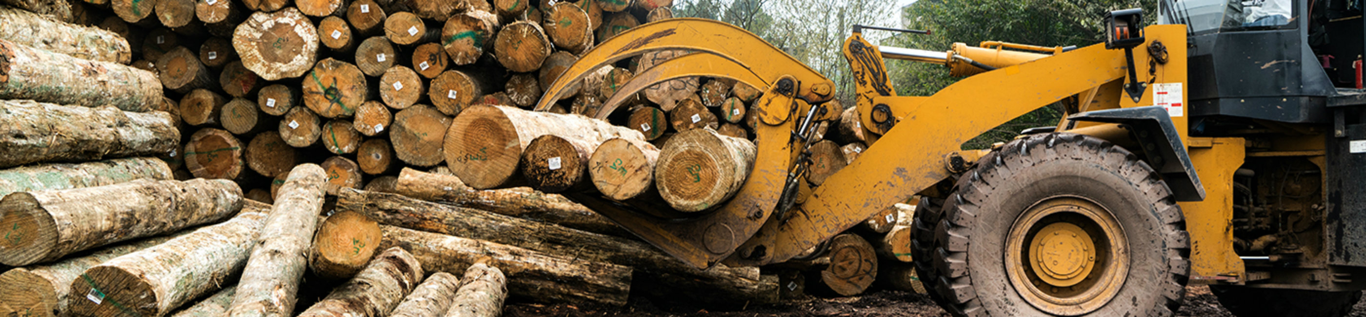 Equipment Loans The Grant County Bank Petersburg, WV Keyser, WV Elkins, WV