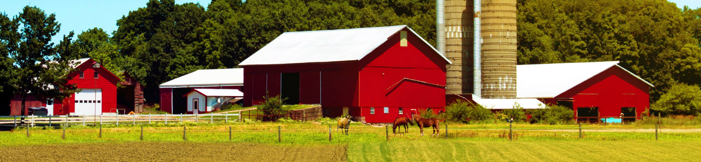 Agricultural & Agri-Business Loans