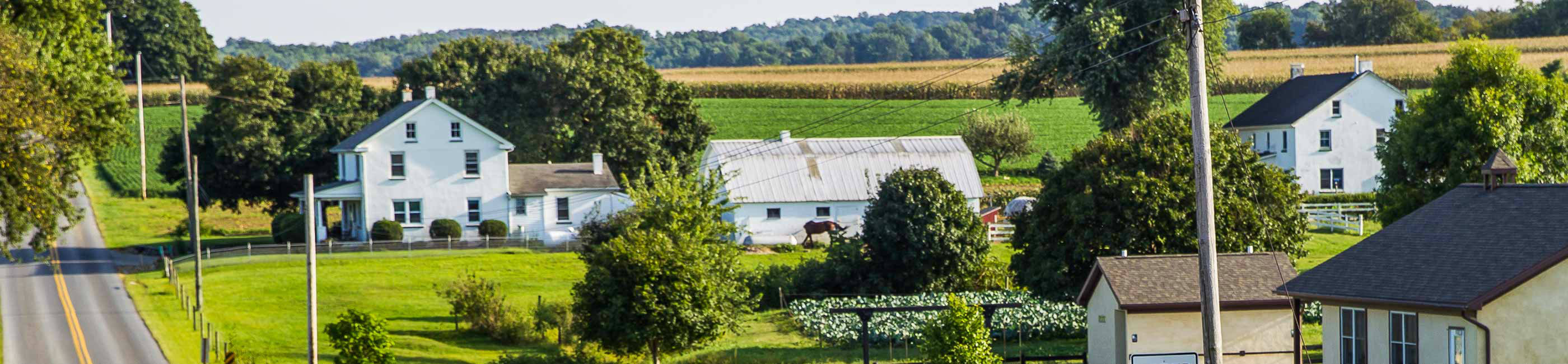 About Lancaster Red Rose Credit Union LRRCU Lancaster, Manheim