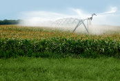 Agriculture Real Estate Loans