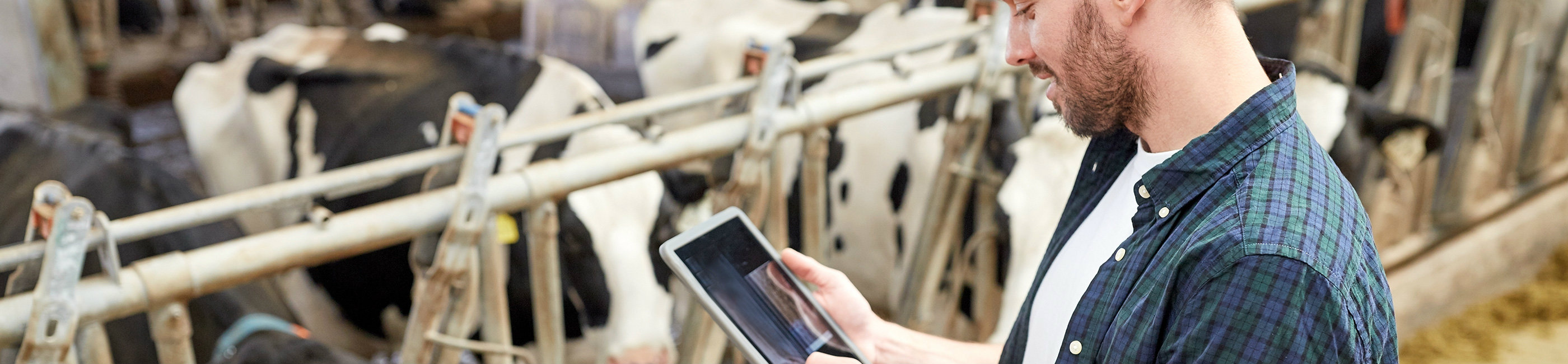 Livestock Loans Farmers State Bank of Alto Pass Illinois Alto