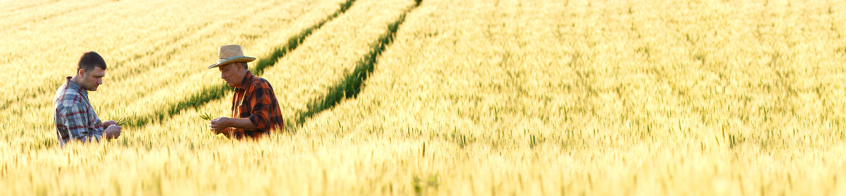 Farm & Land Loans Regional Missouri Bank Marceline, Moberly