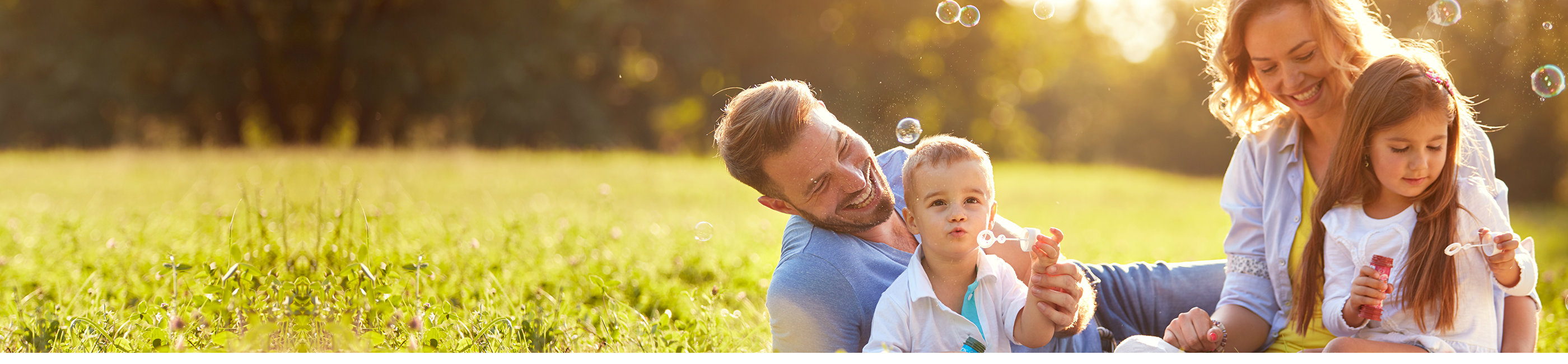 InControl Checking Regional Missouri Bank Marceline, Moberly