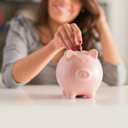 Share Savings Account