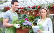Stone Business Plus Business Checking Account