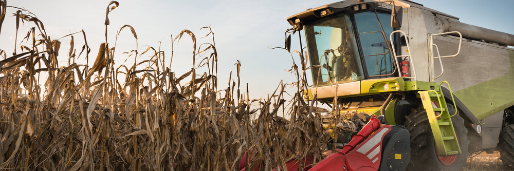 Agricultural Loan