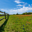 Land and Lot Loans