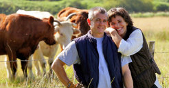 Livestock Loans
