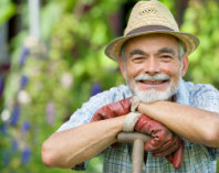 Individual Retirement Account (IRA)
