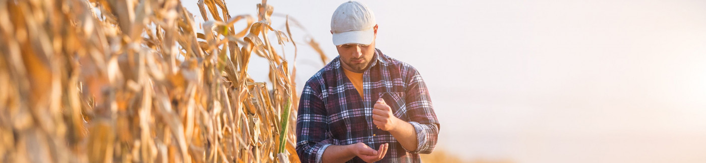 Agriculture Loans