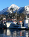 Commercial Fishing Line of Credit