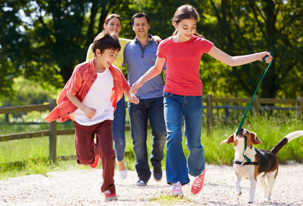 Loan Protection Services