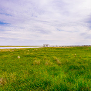 Rural Development (USDA) Loans