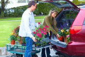 Auto Loans