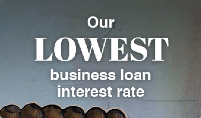 Share Secured Loan