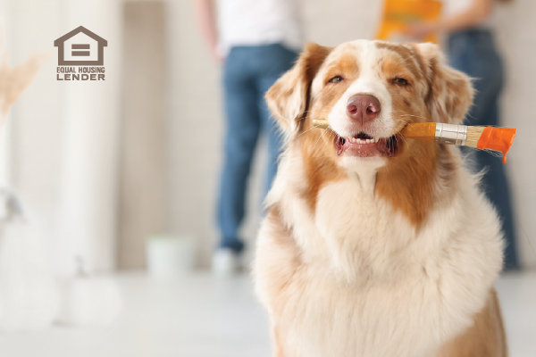 HE/HELOC - Fund Fall Fix-ups