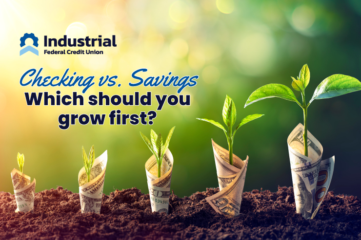 Checking vs. Savings: Which Account Should You Grow First?