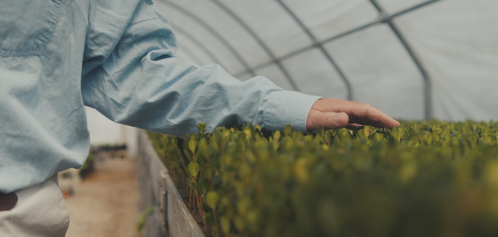 Financing for Business