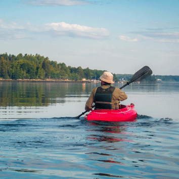 Lobster Rolls and Rocky Shores: Discovering Joy in Maine’s Summer Beauty
