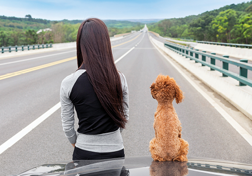 You've Waited Long Enough.