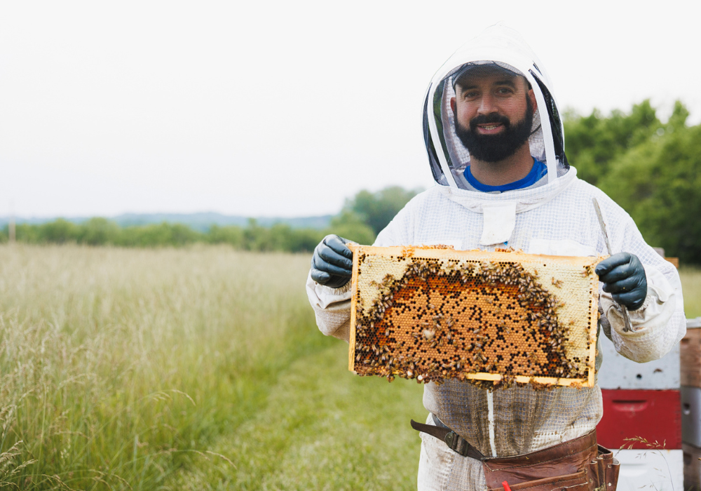 Building a Business, One Hive at a Time: How T Creek Bees is Creating Buzz in Shawnee County Building a Business, One Hive at a Time: How T Creek Bees is Creating Buzz in Shawnee County