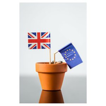 Brexit and Your Financial Health Brexit and Your Financial Health