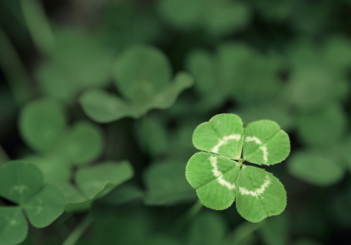 Lucky or Smart? 4 Money Moves That Build Wealth (No Luck Required)