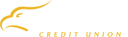Cinfed Logo