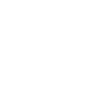 Digital Wallet icon