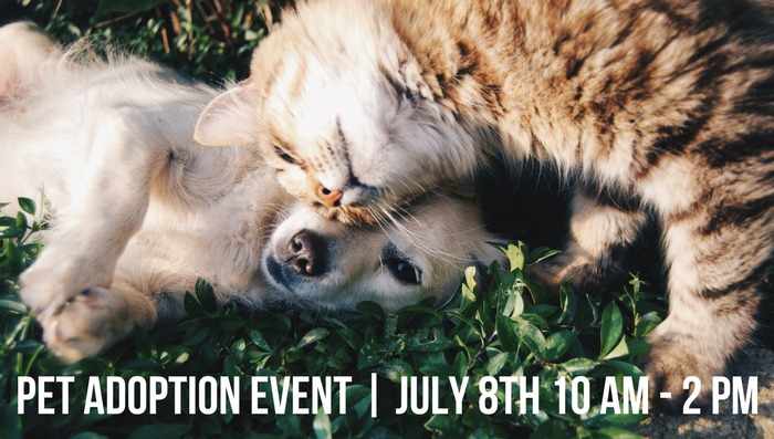 Hot Dogs & Cool Cats Adoption Event + Pop-Up Shops & Food Trucks