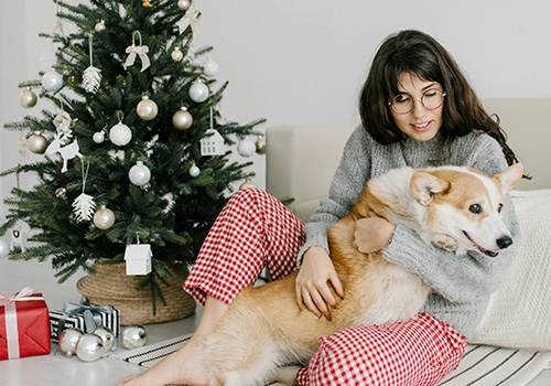 Tis' the Season to Stay Safe