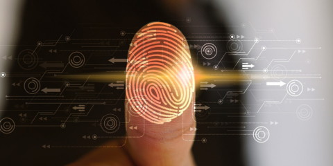 3 Practical Tips to Safeguard Your Identity 