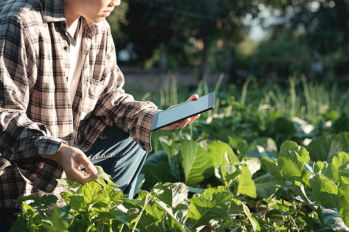 How your budget can help uncover inefficiencies on the farm How your budget can help uncover inefficiencies on the farm