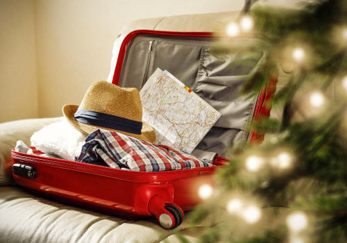 The Procrastinator's Guide to Holiday Travel Savings