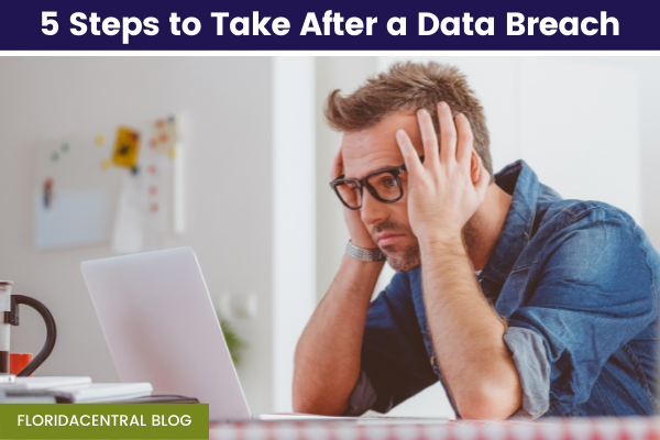 5 Steps to Take After a Data Breach