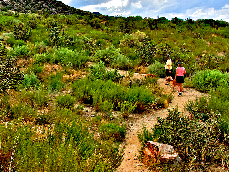 8 WALLET-FRIENDLY WEEKEND ACTIVITIES IN NEW MEXICO