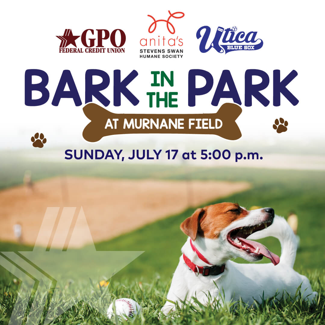 Bark in the Park